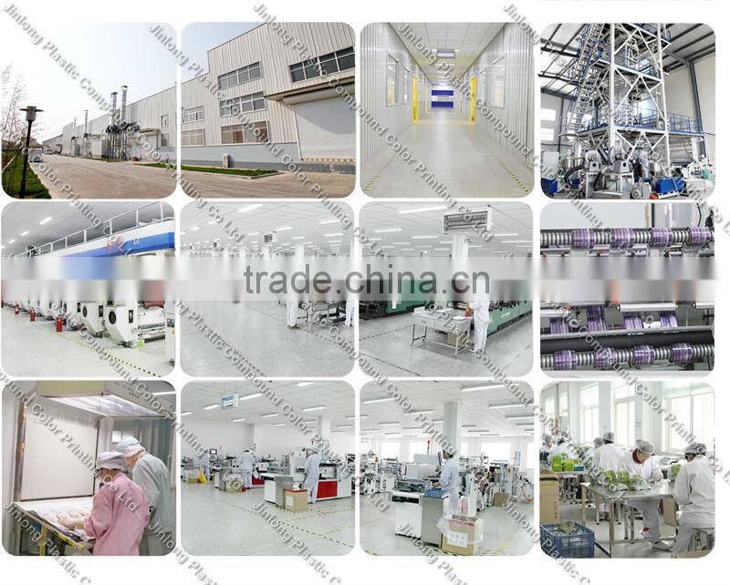 plastic seasalt special shape bag with zipper