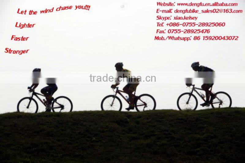 Top-rated DIY Dengfu FM098 Frameset Full of carbon road bike DI2 compatible