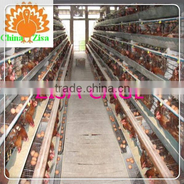 kenya marketsupply poultry layer chicken cage farm equipment factory from zisa
