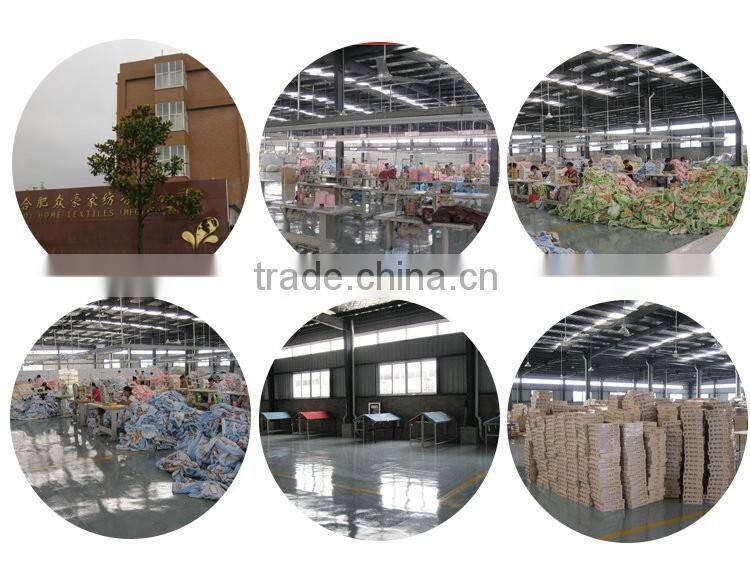 Effect assurance opt toy story micro raschel blanket manufacturer from China