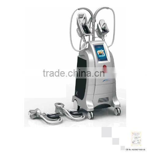 2016 Hot Selling!!! criolipolise machine for home use/criolipolise machine price