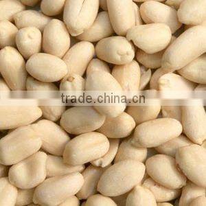 Blanced peanut kernels