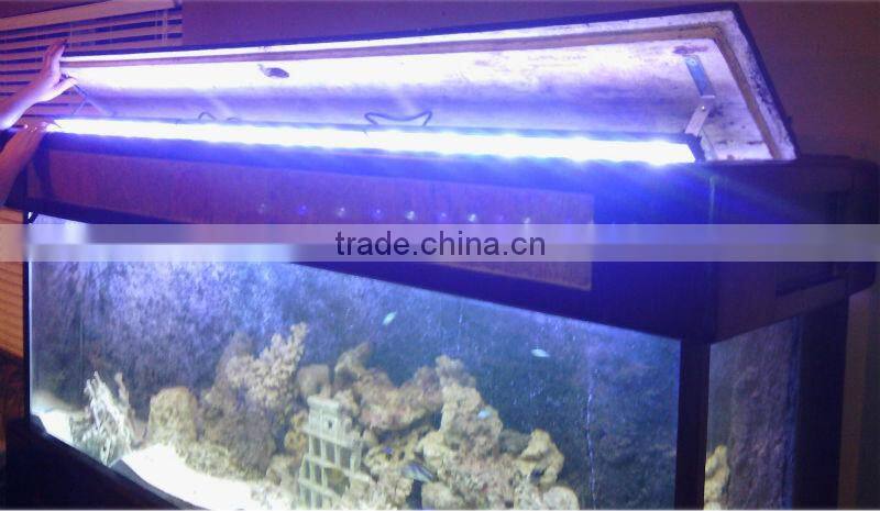 DSunY good user experience coral and reef 72" marine led aquariums lightings for coral and reef