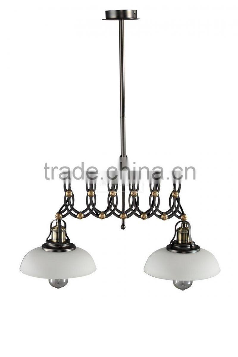 Machine Manufacturer Modernist Ceiling Light Double Light Adjustable Arm Hanging Light
