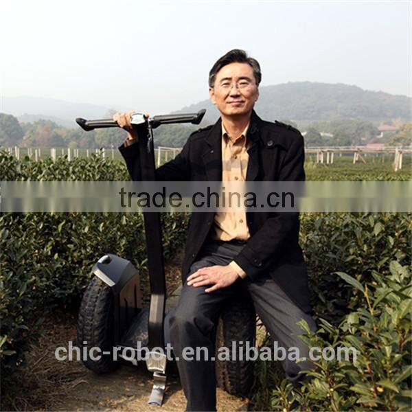 Hot sell cheep off road electric scooter for sale