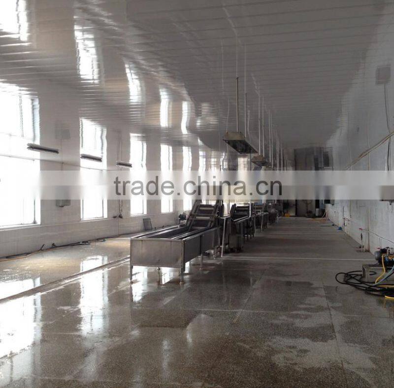 quick IQF strawberry whole