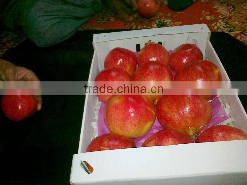 Fresh Pomegranate For Sale