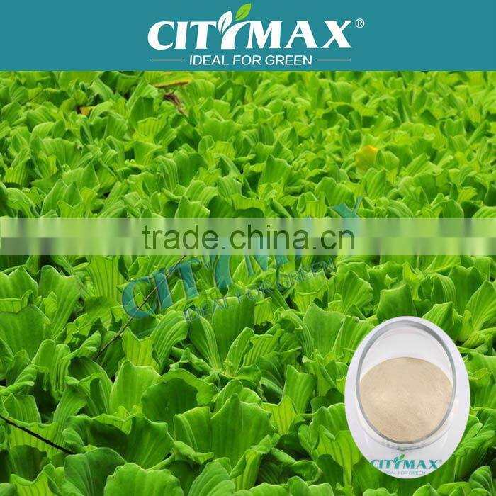 Import Amino Acid Powder