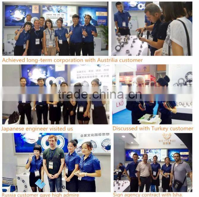 Stainless self-aligning ball bearing 1310