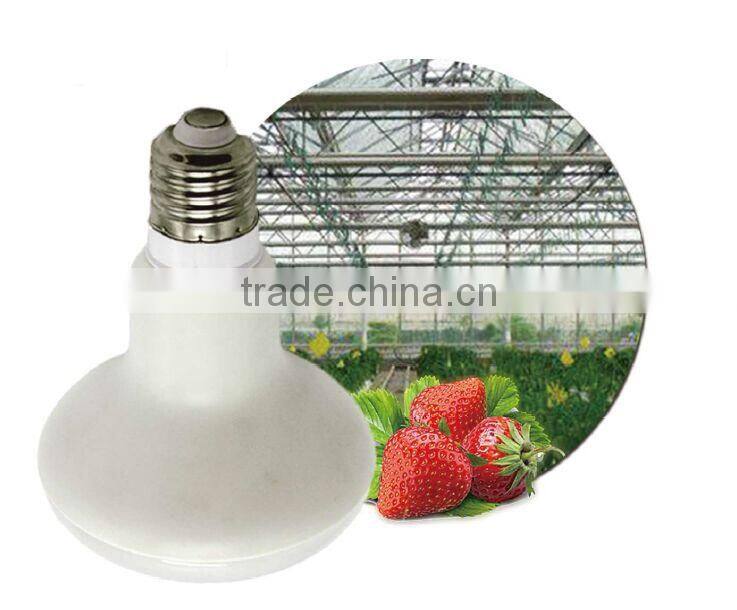 Epistar SMD3070 R90 12W LED Grow Light Bulb