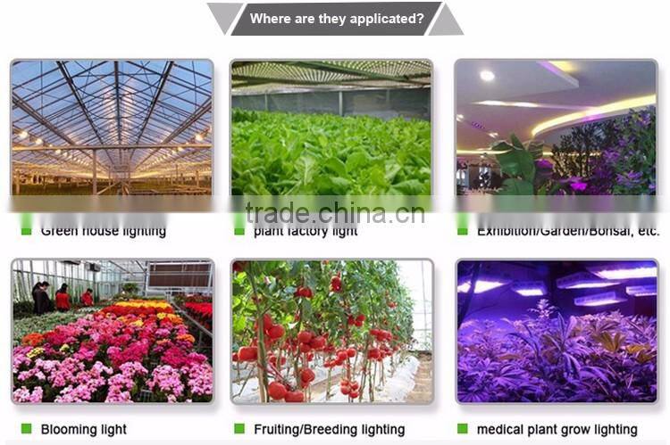 CE certified fishing equipment fish tank led aquarium light bar