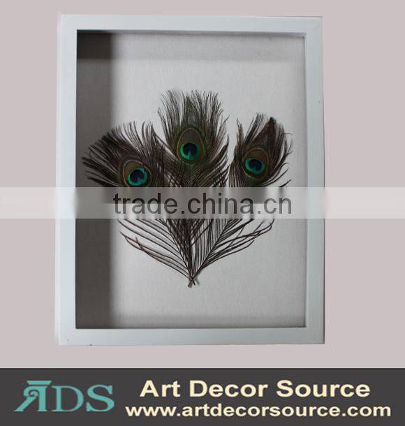 Marine Plants in Shadow Box Frame