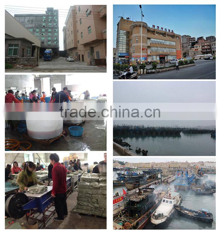 Frozen bonito tuna frozen bonito fish for sale