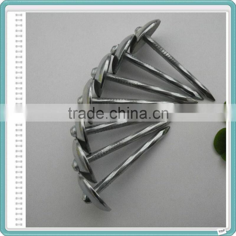 Galvanized Umbrella Head Roofing Nail/1-4 Inch Roofing Nails