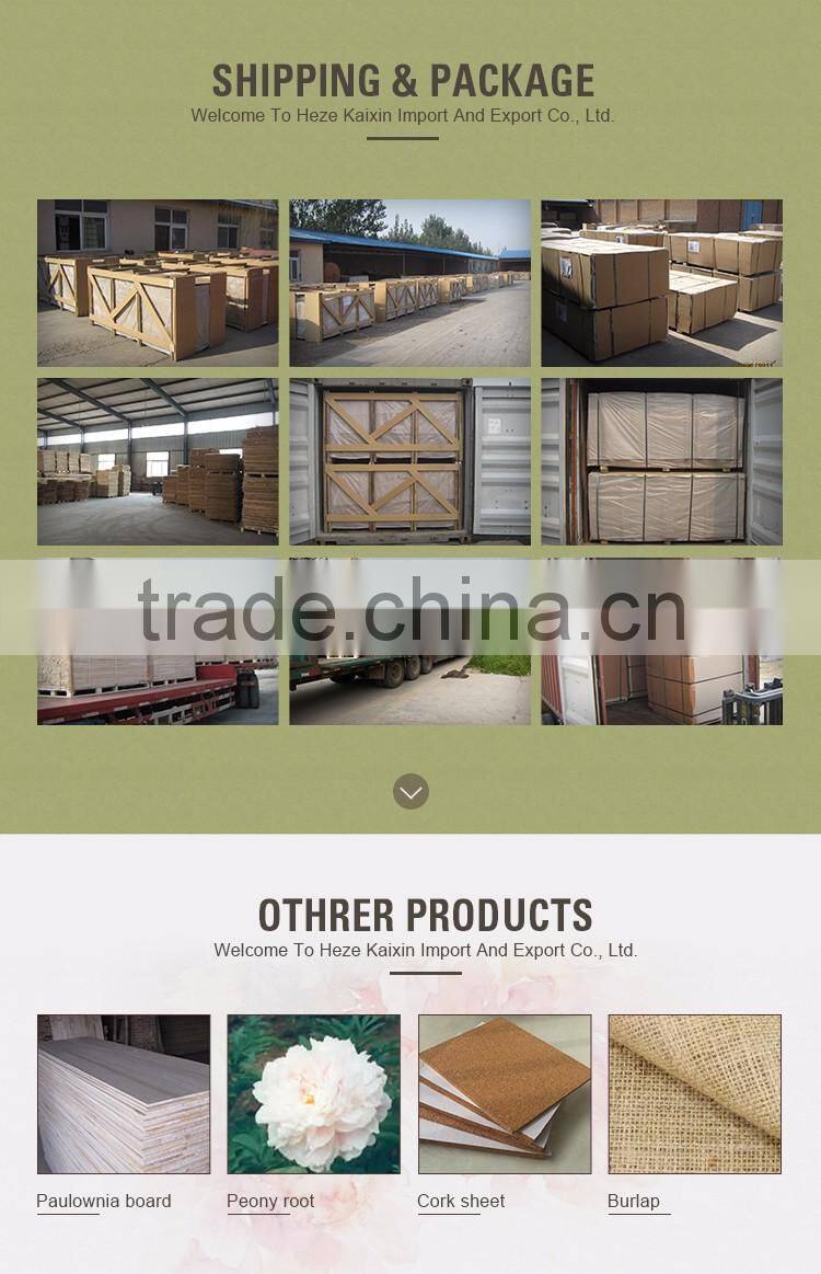 Chinese golden supplier 12mm/18mm hardwood core film faced plywood