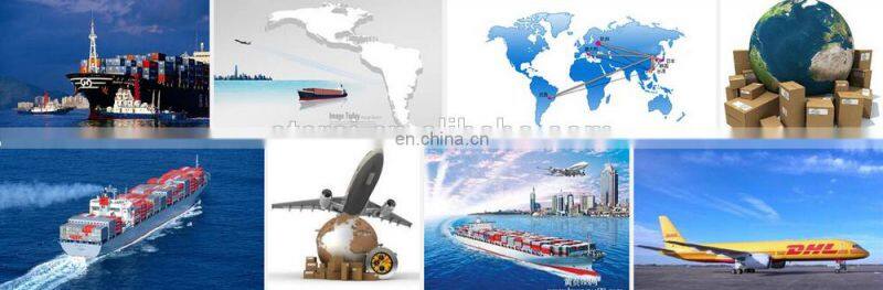 2016 New type White Inflatable Swan, 200cm Large inflatable water floats, Pool float