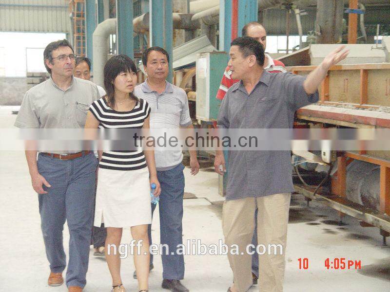 wear resistant blind tiles