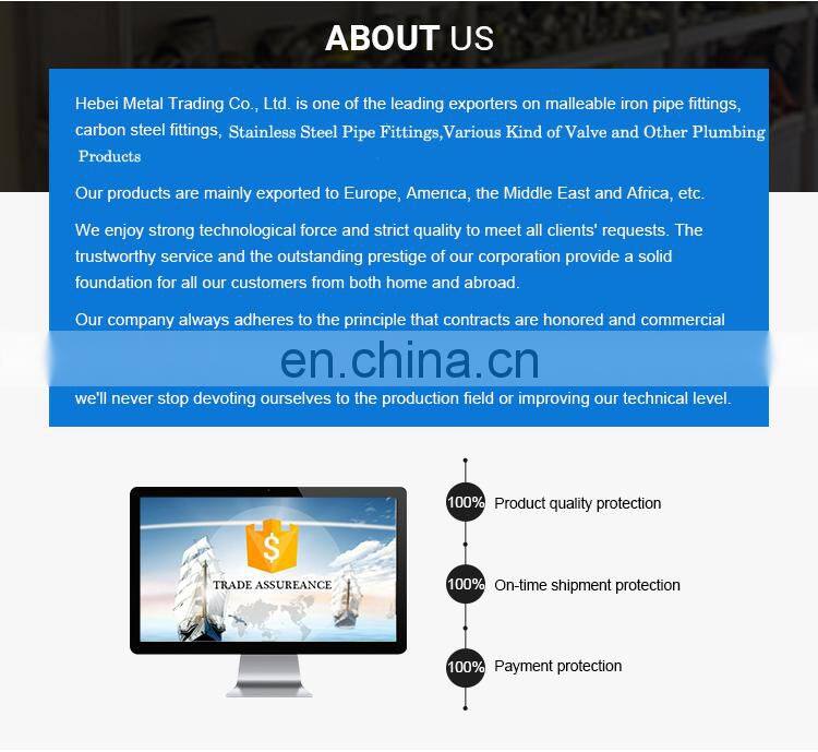 Dual Plate Duckbill Flap Vertical Dn100 Pn16 Natural Gas 8 Inch Flapper Type Swing Check Valve