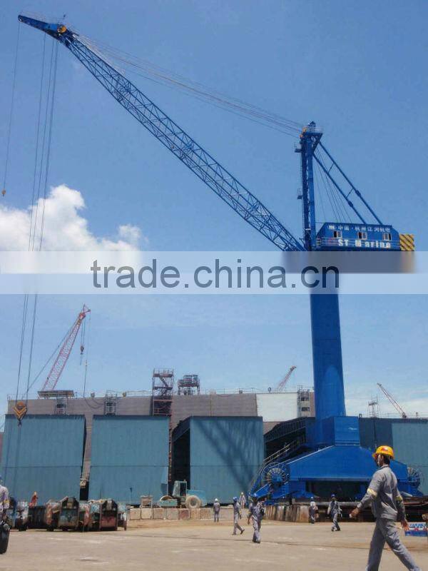 Shipyard goliath crane