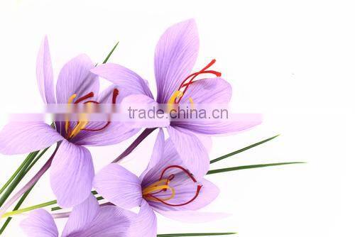 Raw Material Dietary Supplements Saffron Extract Powder