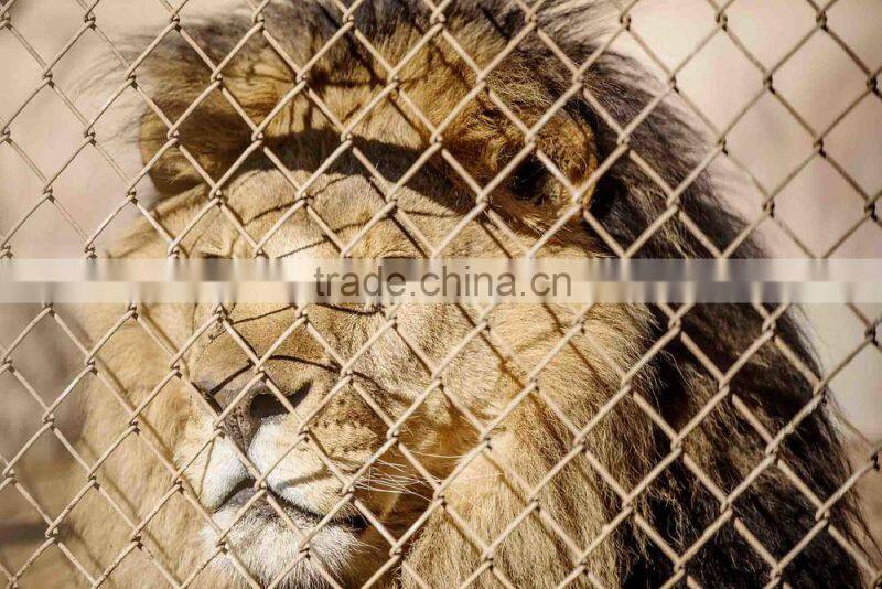 wire rope mesh wire reop netting building fence