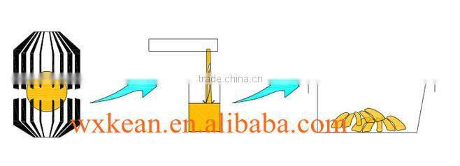 Single bowl type of automatic circus juice extractor manufactured in Wuxi Kaae