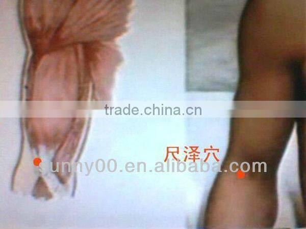 laser diode 10w 2013061917