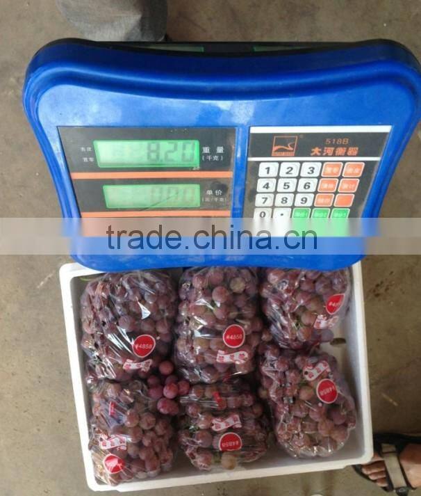 Red global grape/Red grape/Bulk grape