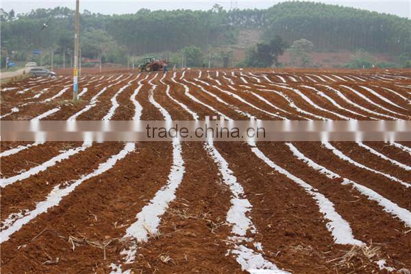 Cost-effetive combine sugarcane machine for 2 rows seed planting factory manufacturing sugarcane planter for sale