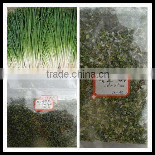 2012 new cropFD shallot