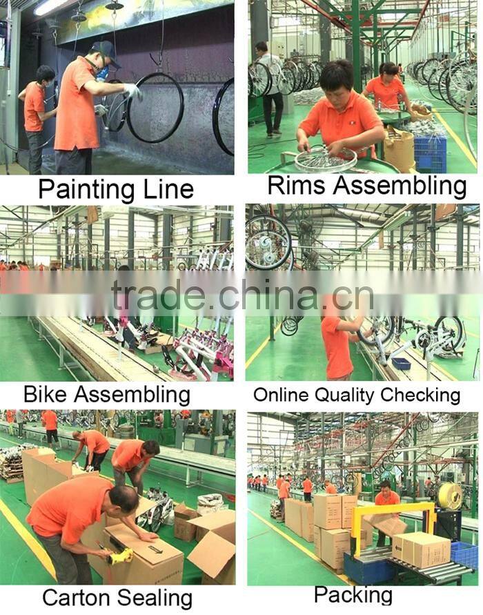 24" beach cruiser chopper bike / cheap single speed cruiser bike (B-24002)