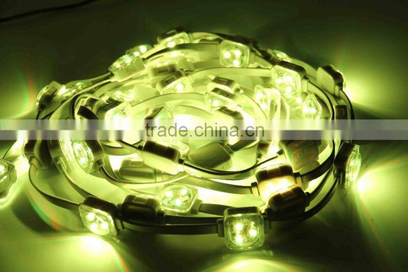 Professional Programmable 25MM DC12V Led Signage Light for display