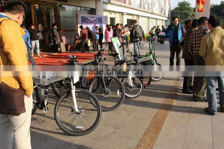 Modern sport style durable electric scooters with two people