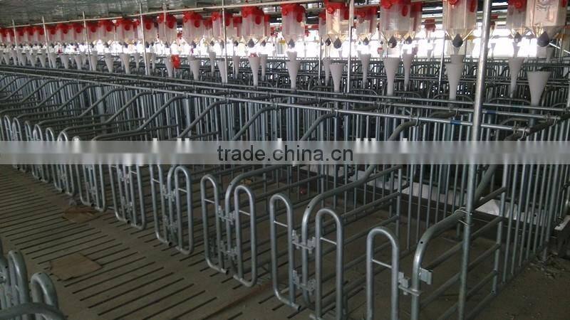 pig raising equipment and its price in
