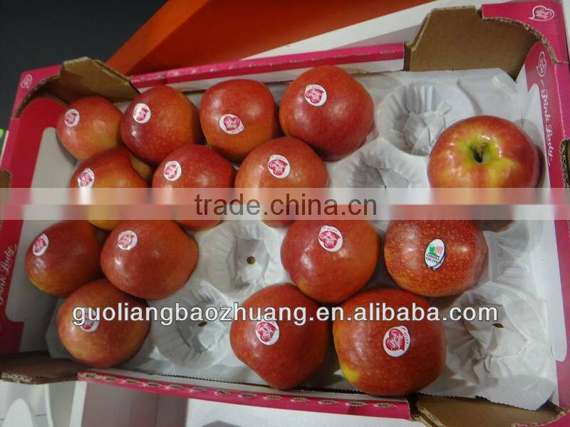 Colorful/Plastic Packaging Blister Food Tray