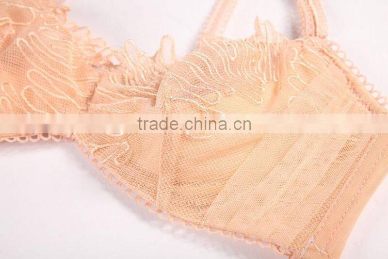 Factory Direct Women Lingerie Sexy Bra Set (CAS033)