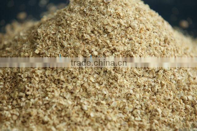 BEST PRICE CORN COB FOR SALE FROM VIETNAM