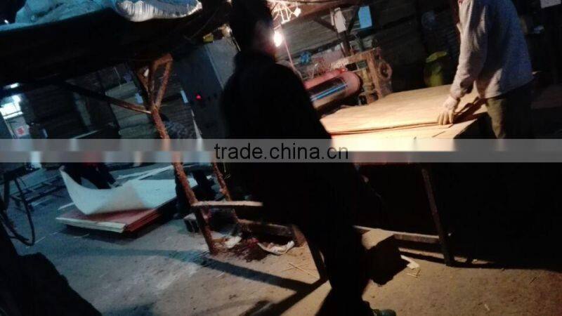 Hot sale! commercial plywood with CE/CARB/ FSC/ SGS/ ISO certified