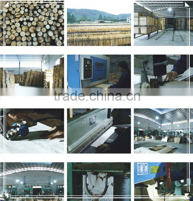 2015 Promotional Plywood PU Leather Beauty Salon Waiting Chair HY3009