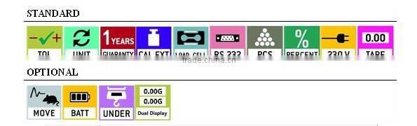5kg/0.1g Automatic Hydrostatical Scale under weighing hook