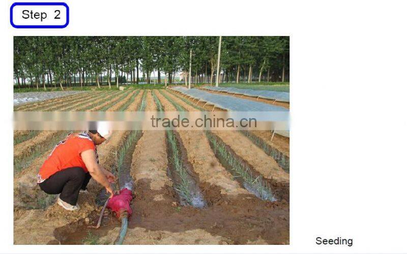 Cultivator Vegetable Garden Working