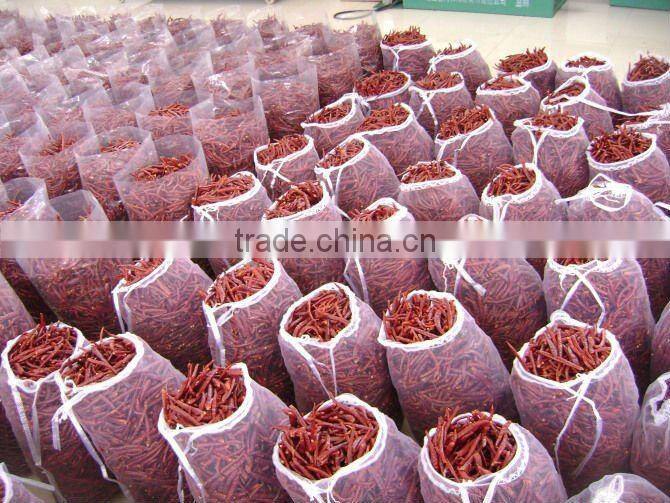 red dried chilli