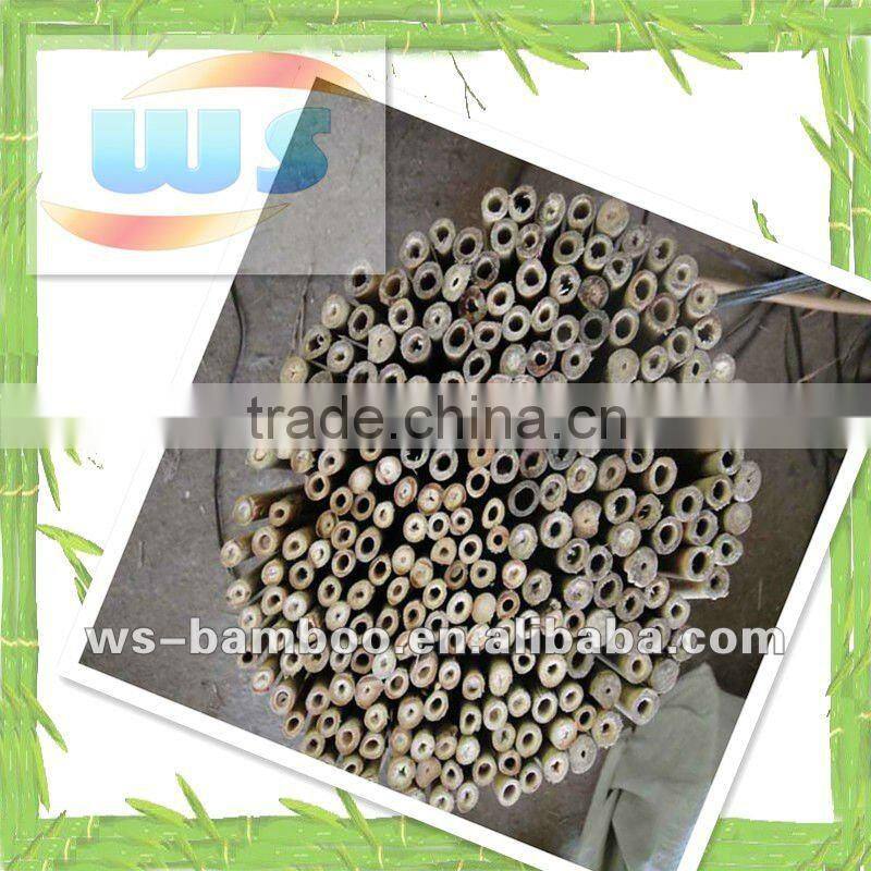 Agriculture products/Bamboo stick used in decoration/Flower bamboo stick