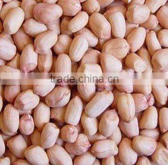 2012 new crop baisha peanut kernels in China