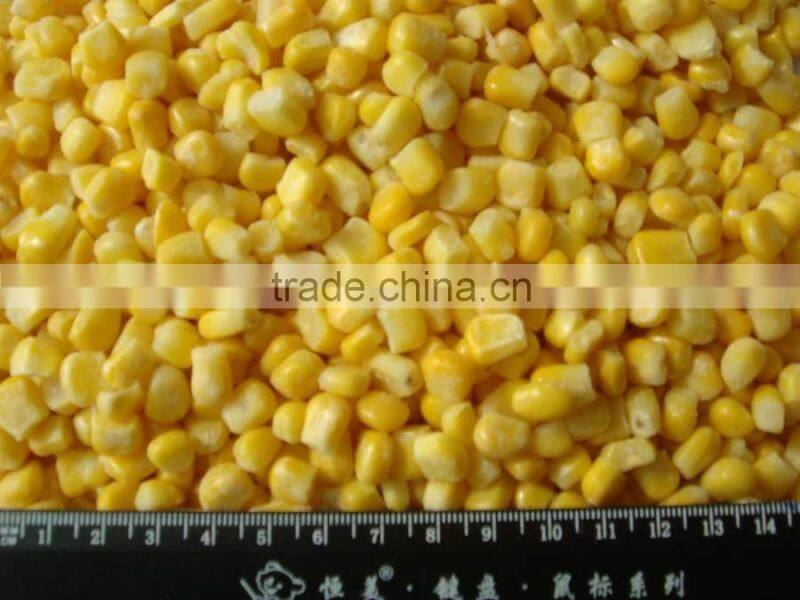 NEW FROZEN WHOLE KERNEL CORN JINFEI SWEET CORN