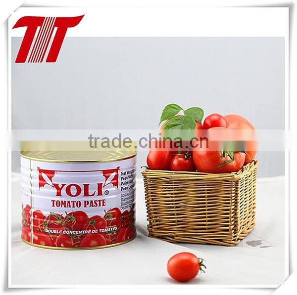 Double Concentrated Sachet Tomato Paste OF YOLI Brand with Low Price