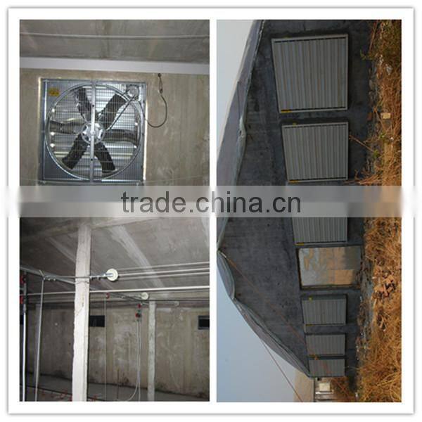 2014 automatic poultry feeding equipment for chicken broiler