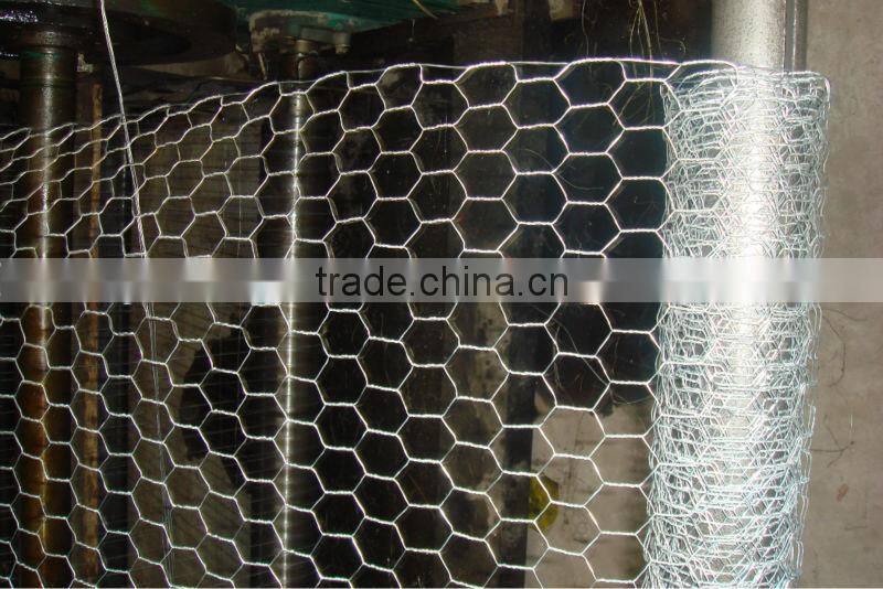 Stainless steel chicken wire rolls/chicken hexagonal mesh roll/hexagonal wire mesh