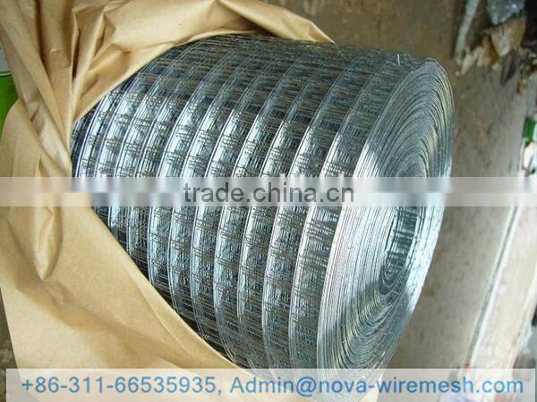 Chicken Coop welded mesh / Welded wire mesh mew product / Welded wire mesh for birds cage