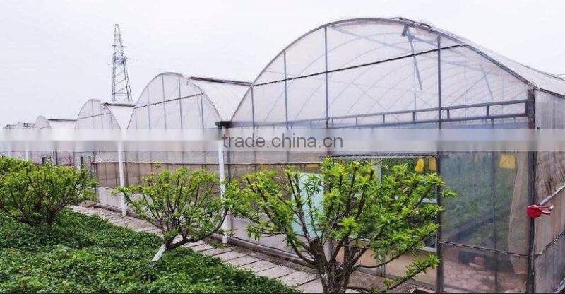 The simple film greenhouse steel structure